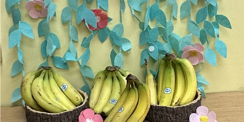 Wisconsin – bananas – Screenshot 2023-04-20 144936 – 3-2